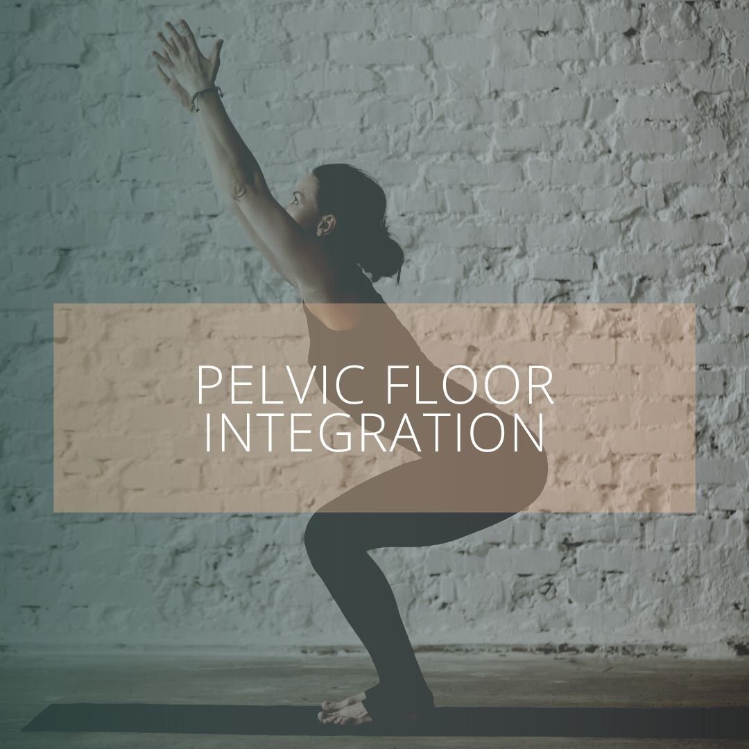 Pelvic Floor.png