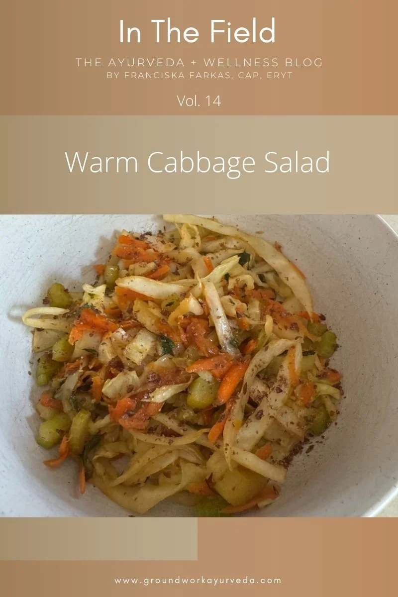 Warm Cabbage Salad (Chef's kiss)