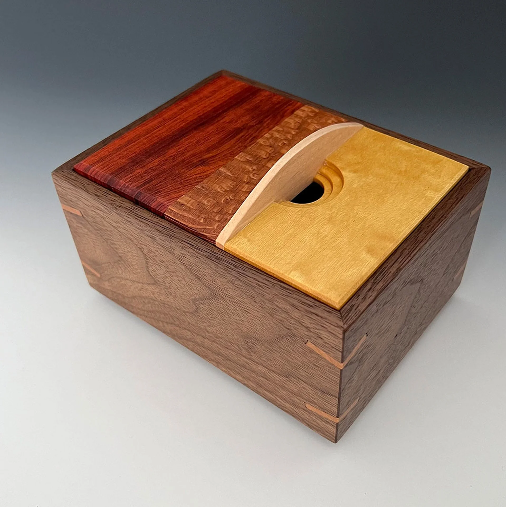 Brobst_Lisa_sunsetbox - Lisa Brobst.jpg