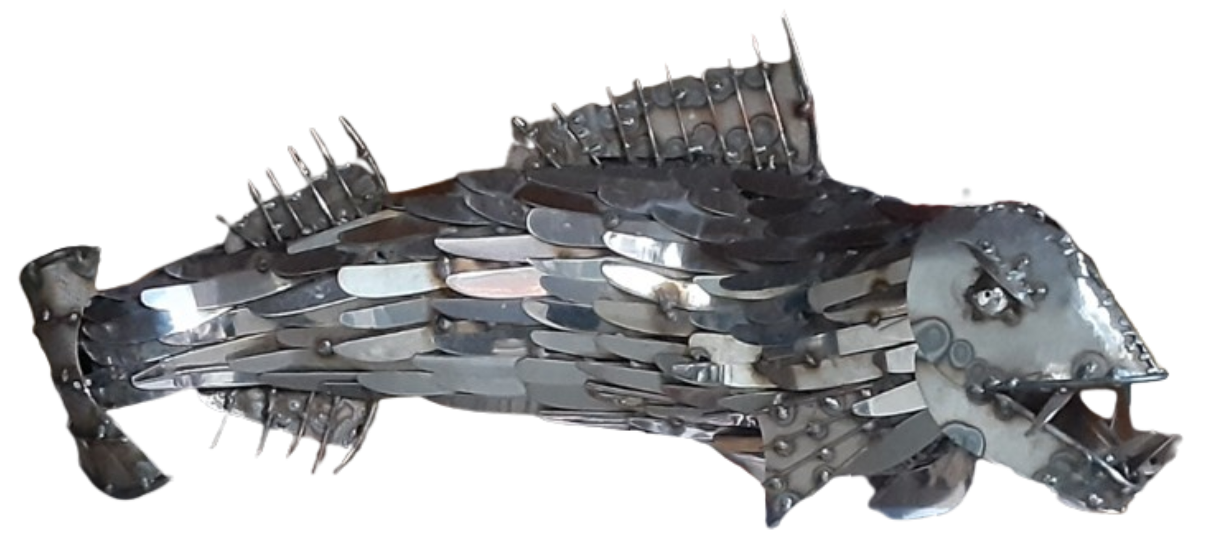 Blenkinsop_Jason_4_fish.png