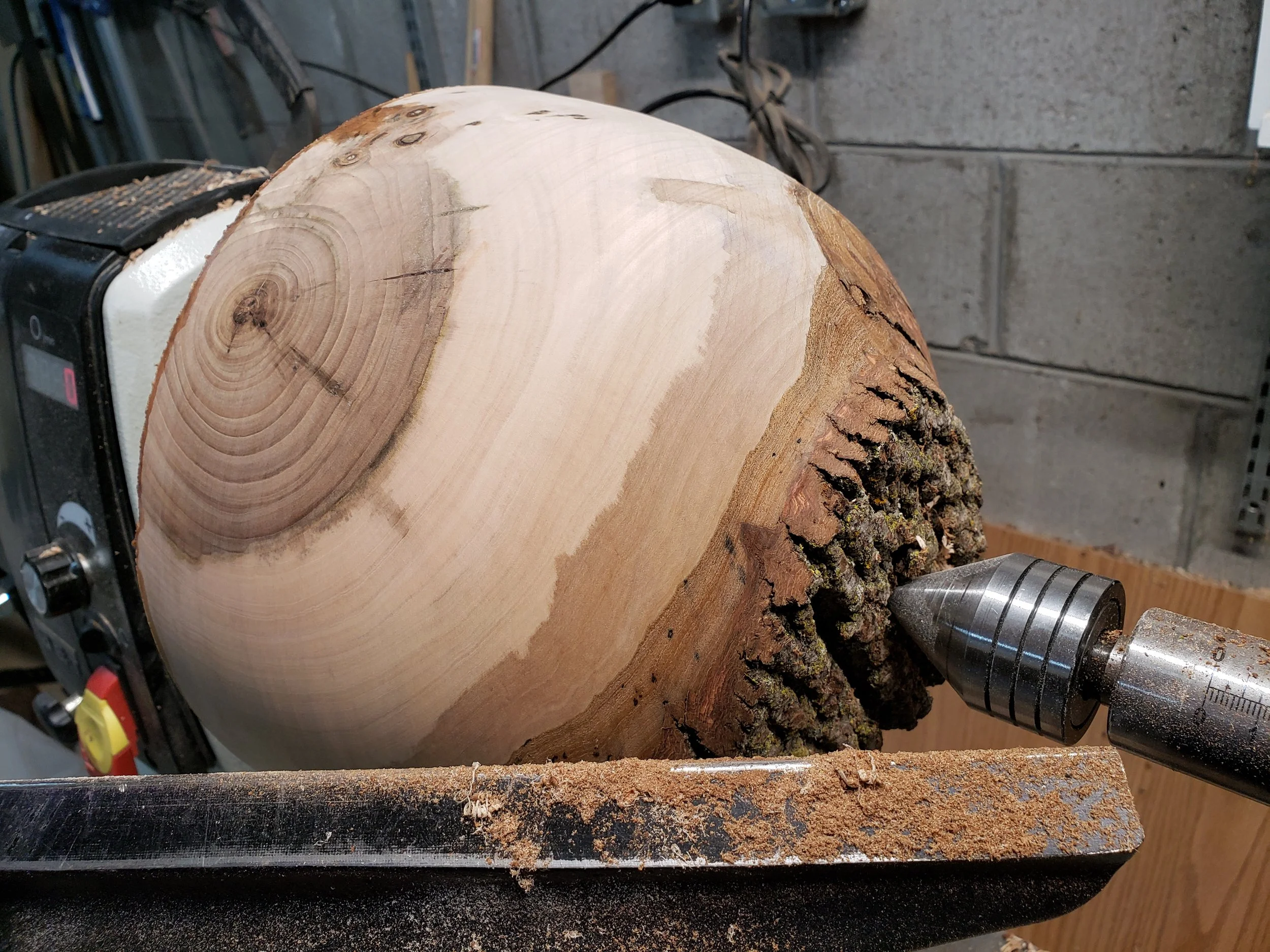 bollman_marv_inprogress - Marvin Bollman.jpg