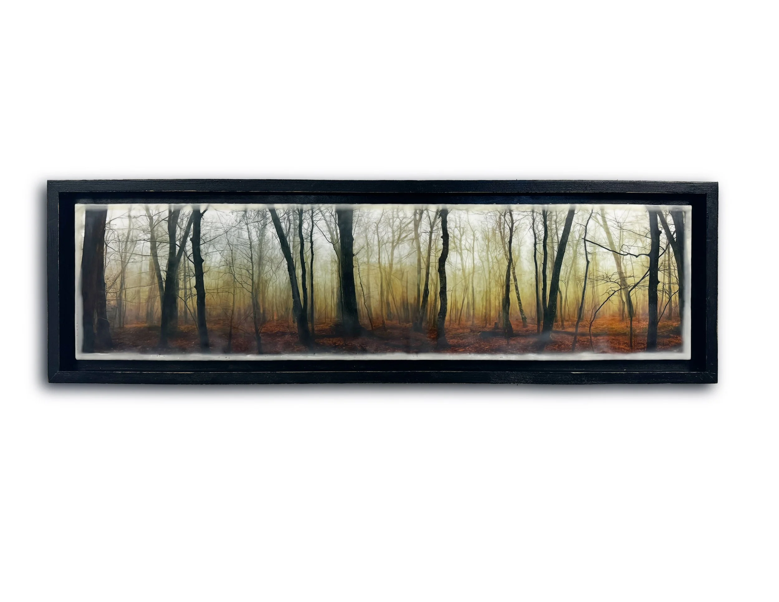 LEE_RANDY_LISA_MYSTIC FOREST - Randy Lee.jpg