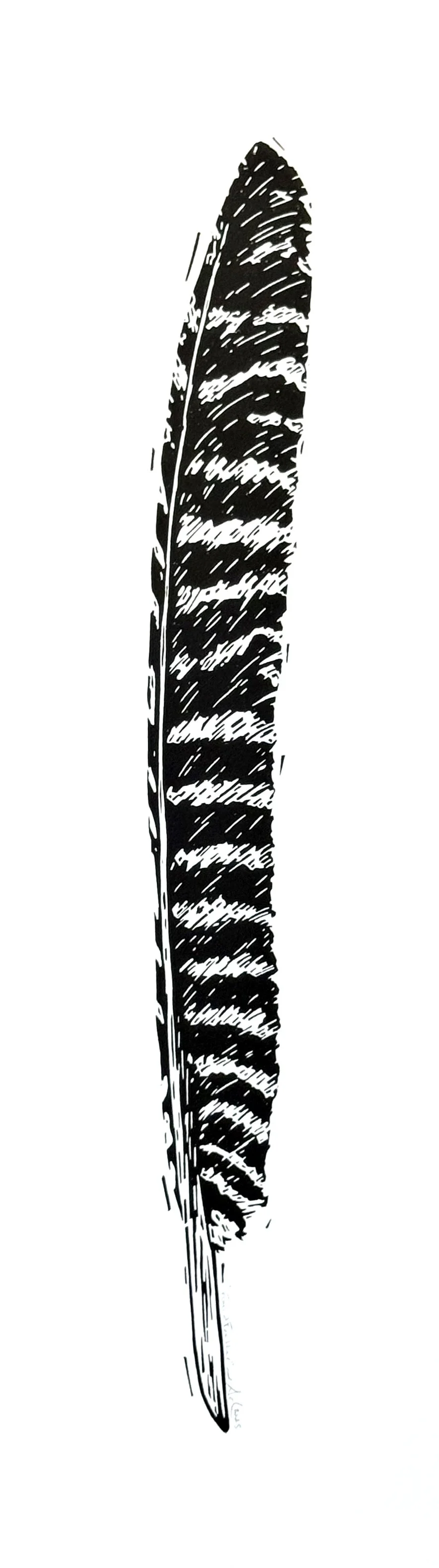 sanders_jackie_feather - Jackie Sanders.jpg