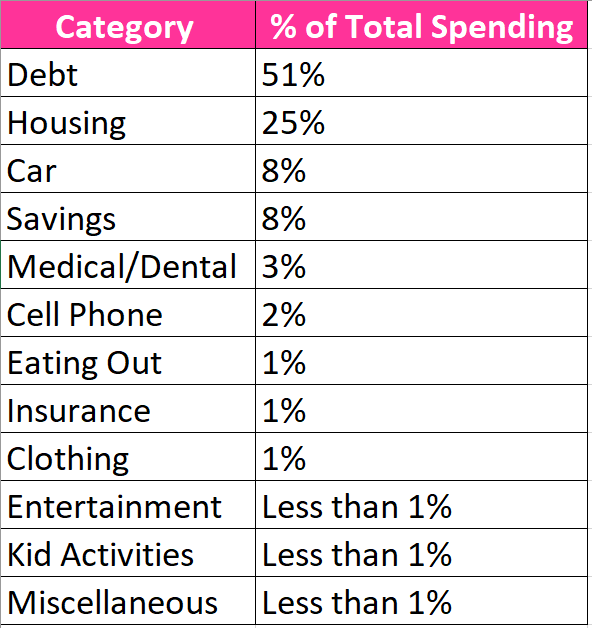 January 2019 Monthly Spending Report And Debt Update