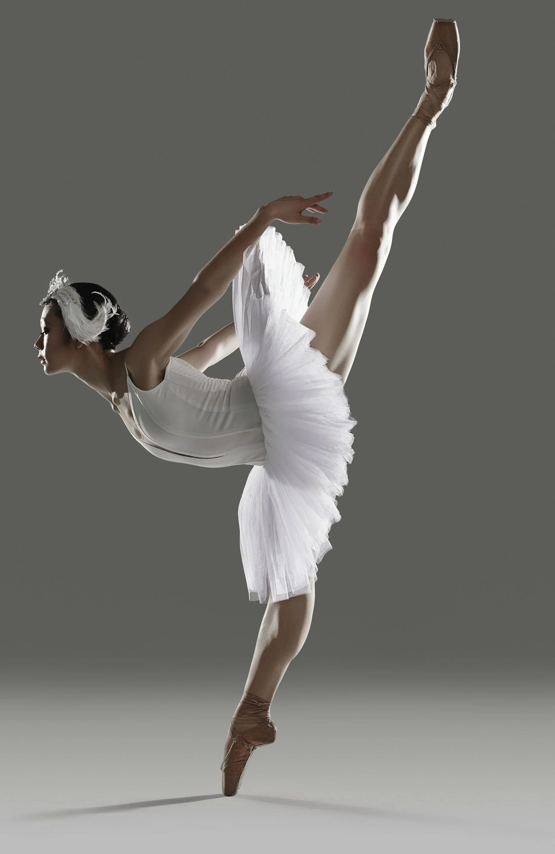 Swan Lake