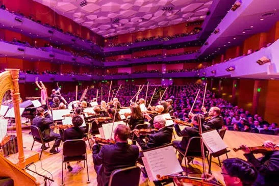 Minnesota Orchestra - How to Train Your Dragon