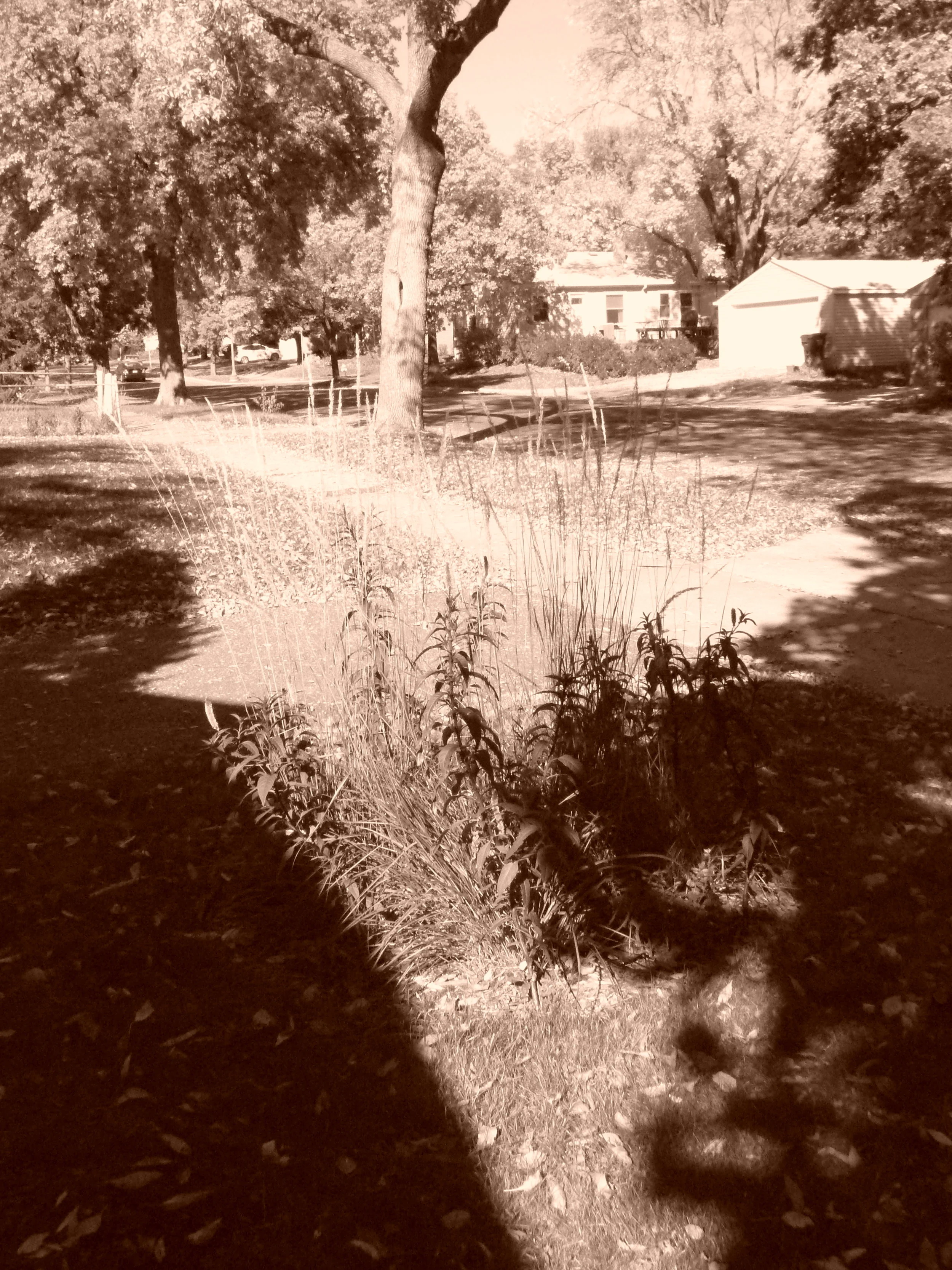 Face on the Boulevard, Highland Park, St. Paul, MN