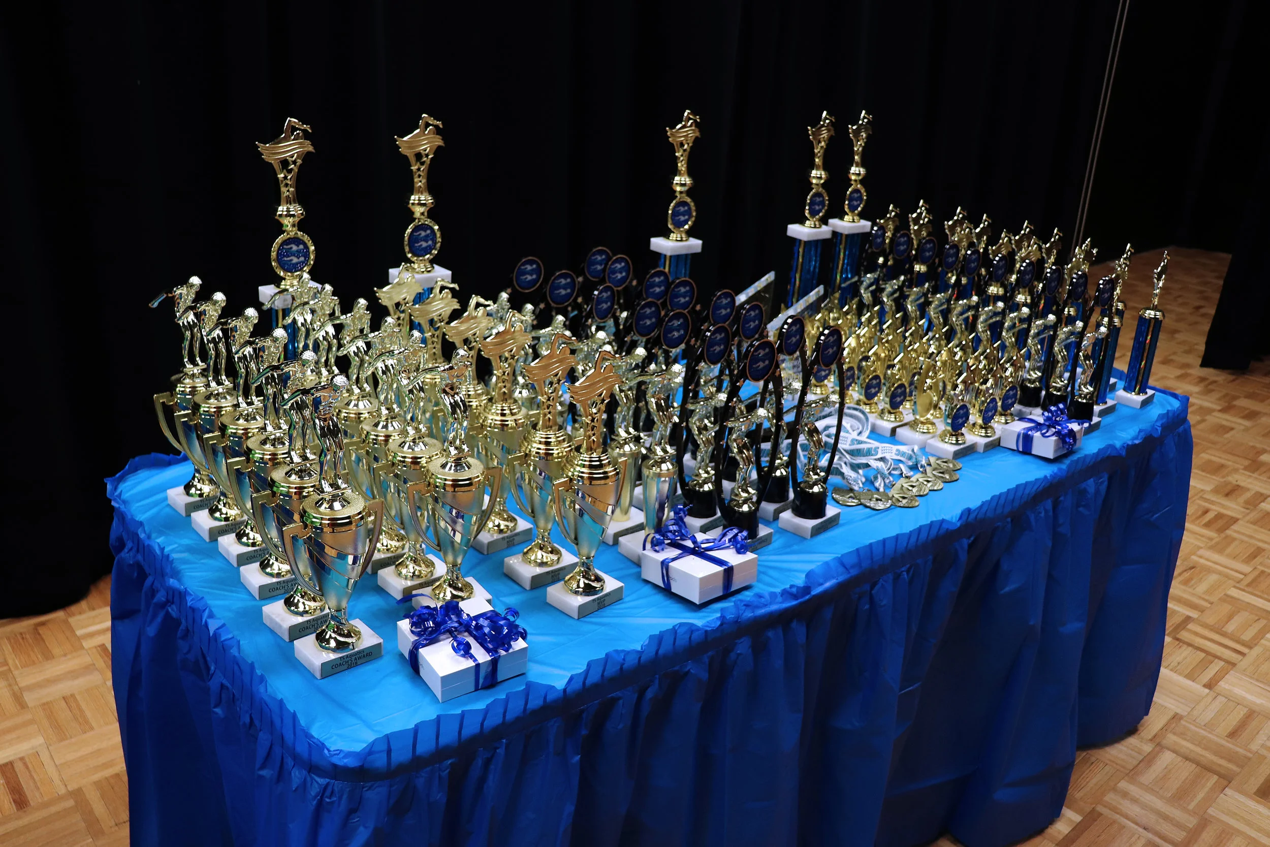 Trophies01.jpg