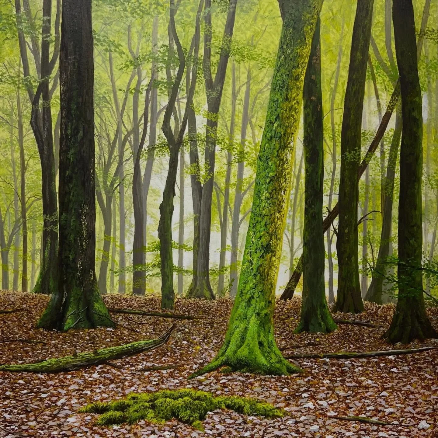 "Mossy Autumn", 12"x12", £495