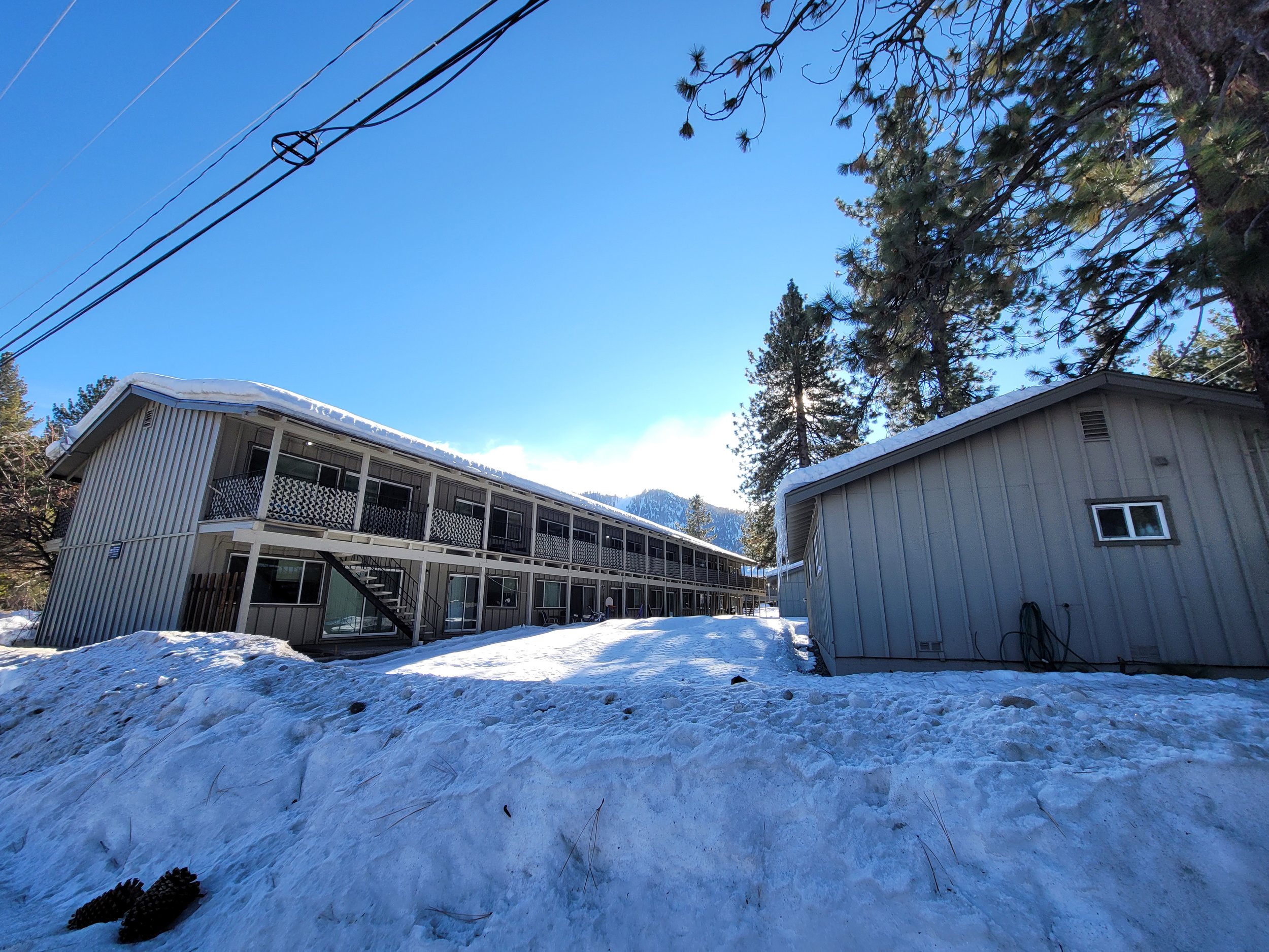 PROPERTIES BLACKWOOD — FLITE