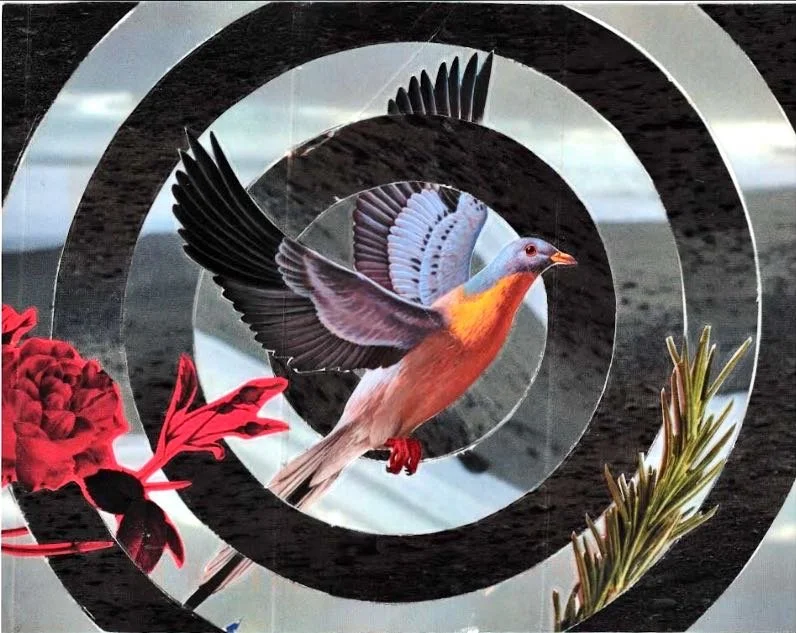 Bird Collage.jpeg