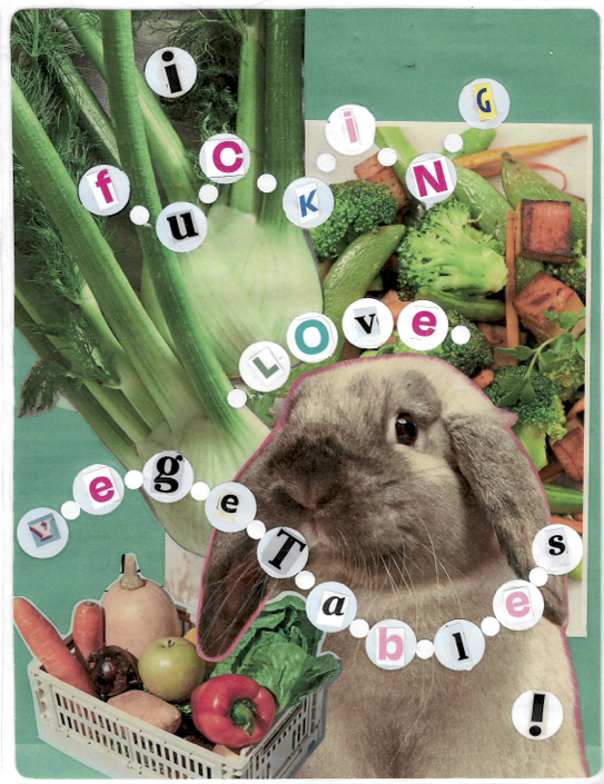 I Fucking Love Vegetables Collage.png