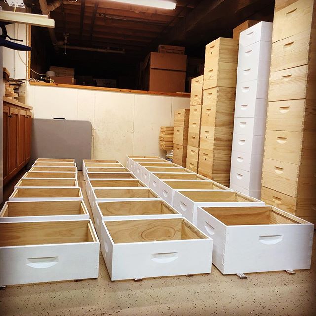 And painted! 🐝

The hive boxes we use and provide are all hand-rolled and double coated. It&rsquo;s the best defense against the variety of elements they are exposed to. 🐝

More info about our woodenwares on our website. Link in bio. 🐝

#chicagola