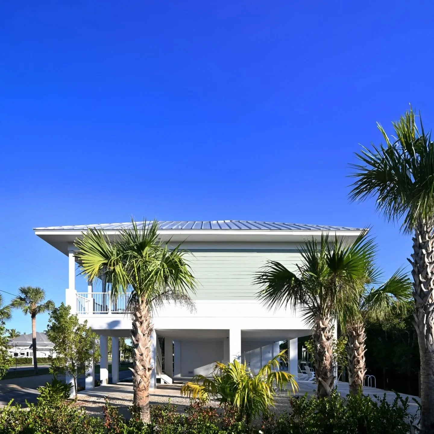 &quot;Villa Serena's&quot; south view looks perfectly at home surrounded by Sabal Palms and Florida winter blue skies.

#evergladesnationalpark #evergladescity #florida #westpalmbeach #floridakeys #keybiscayne #miami #naplesflorida #naplesfl #marcois
