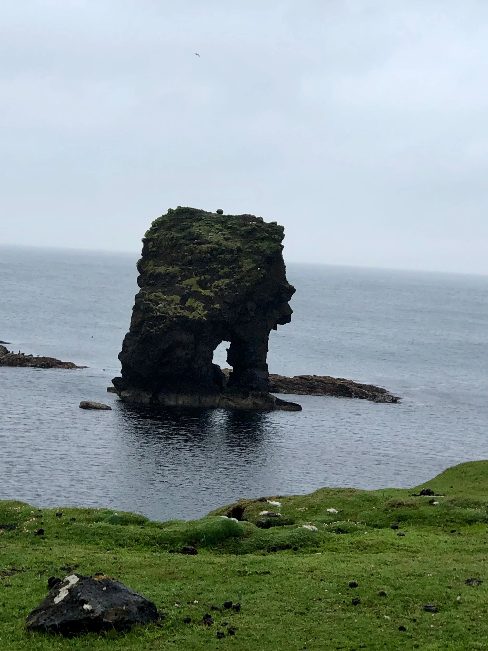 IMG_3453.jpeg
