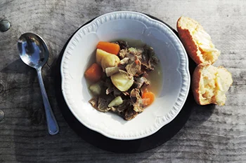 Lob+Scouse.jpg