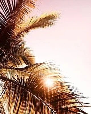 Rise &amp; shine! 
It&rsquo;s a new day and you can make it whatever you choose to ☀️