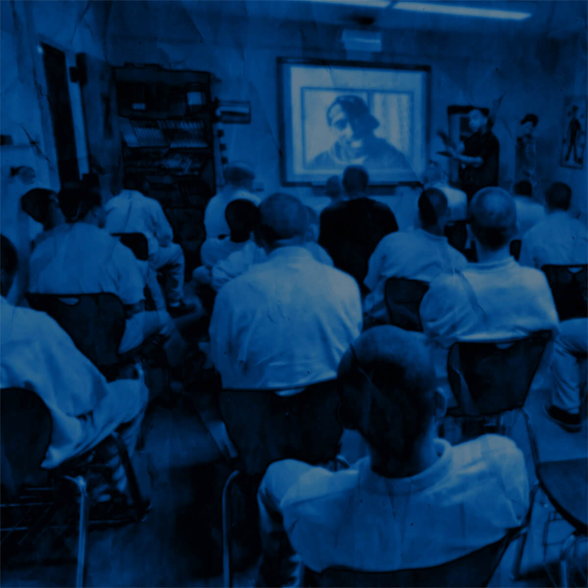 The Vision Program