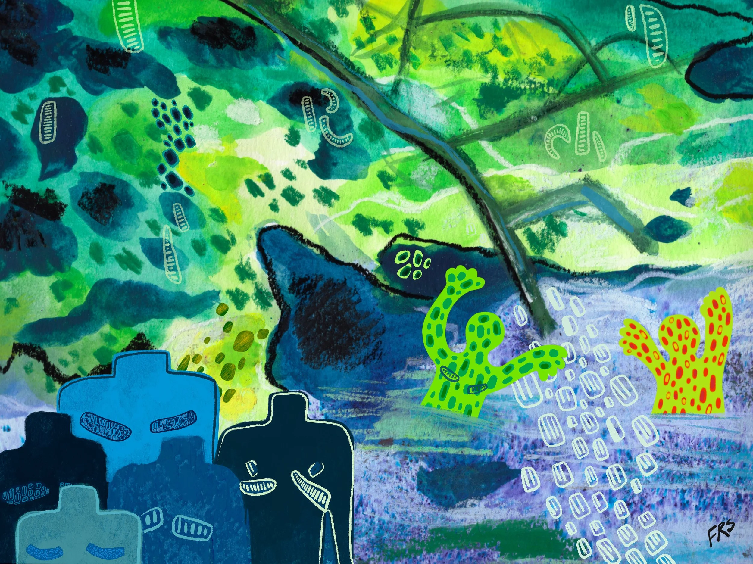   We swan at Cascada Gozalandia. I could hear others jumping from the rocks as you waded through the water to find a spot for me to sit.  