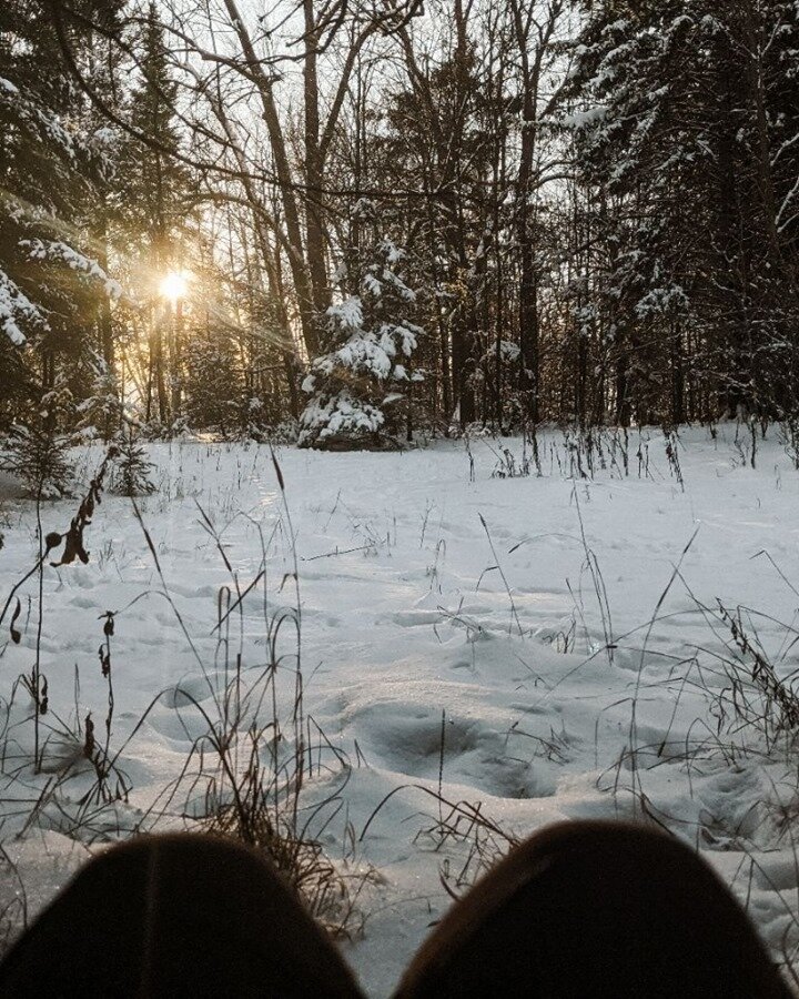 Welcome to my sit spot.

What is a sit spot? It's a spot in nature that is yours, that you visit as often as you can to observe, to connect, to return to nature.

If you find stillness, you will be amazed at how the forest wakes up around you after j