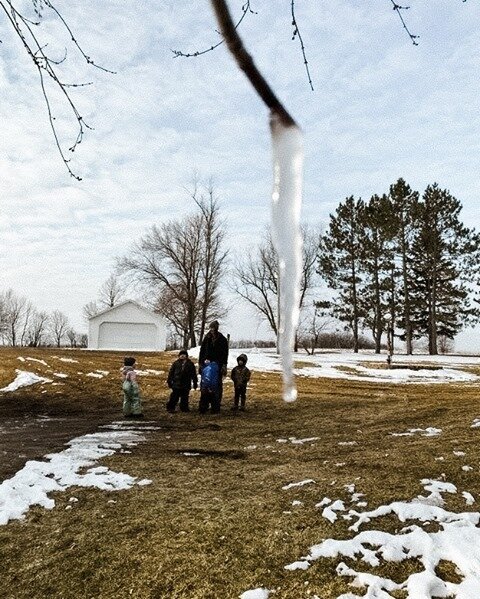 Check out this maple sap-cicle!

That's right - this is no icicle my friends. This morning on our way to the Wildlings Woods, we stumbled upon a super cool maple sap-cicle!

What is that, exactly? Well, this branch must have broken yesterday, and bec