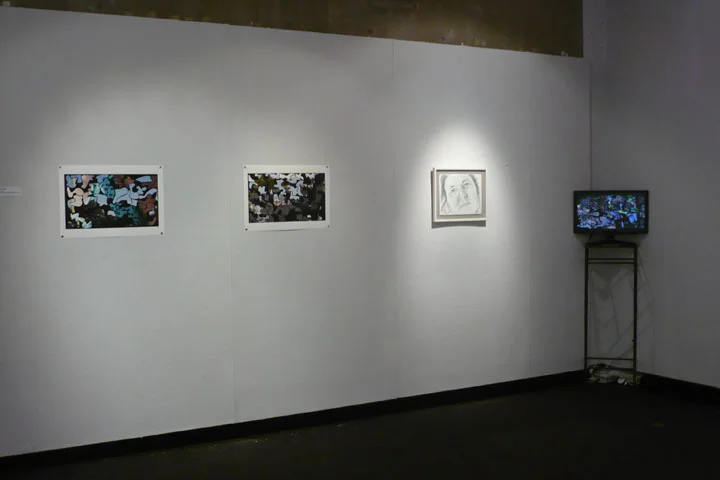  “Hole in One”, photographs, pencil drawing and video, 2011 