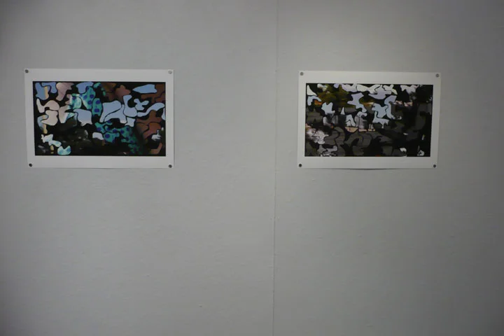  “Bibi Roof 3” and “Bibi Roof 5”, archival pigment ink on cotton rag paper, 12½ ” x 20”, 2007 