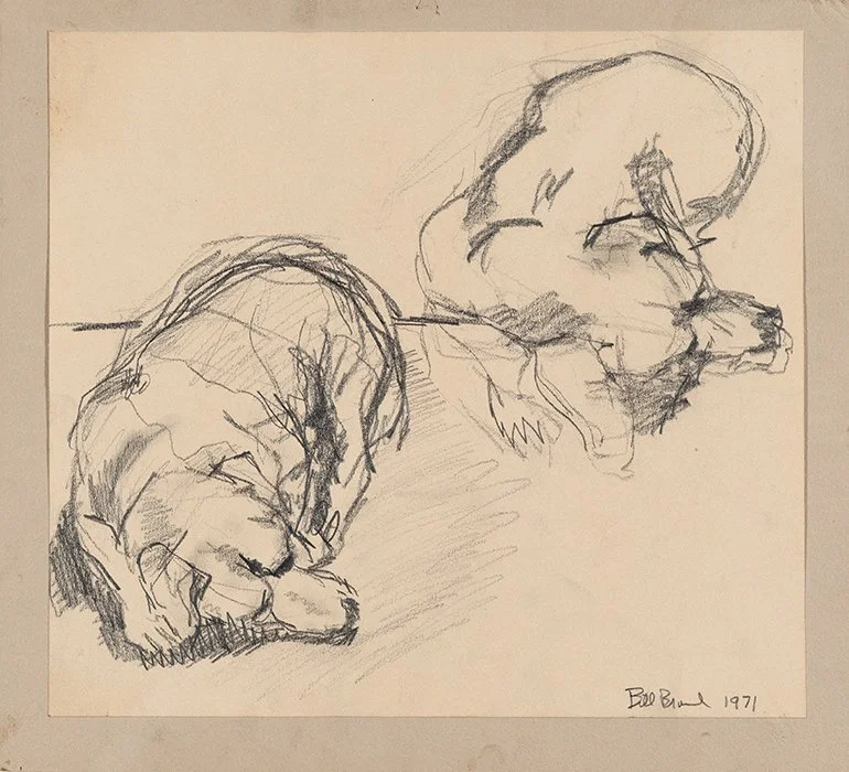 Pup