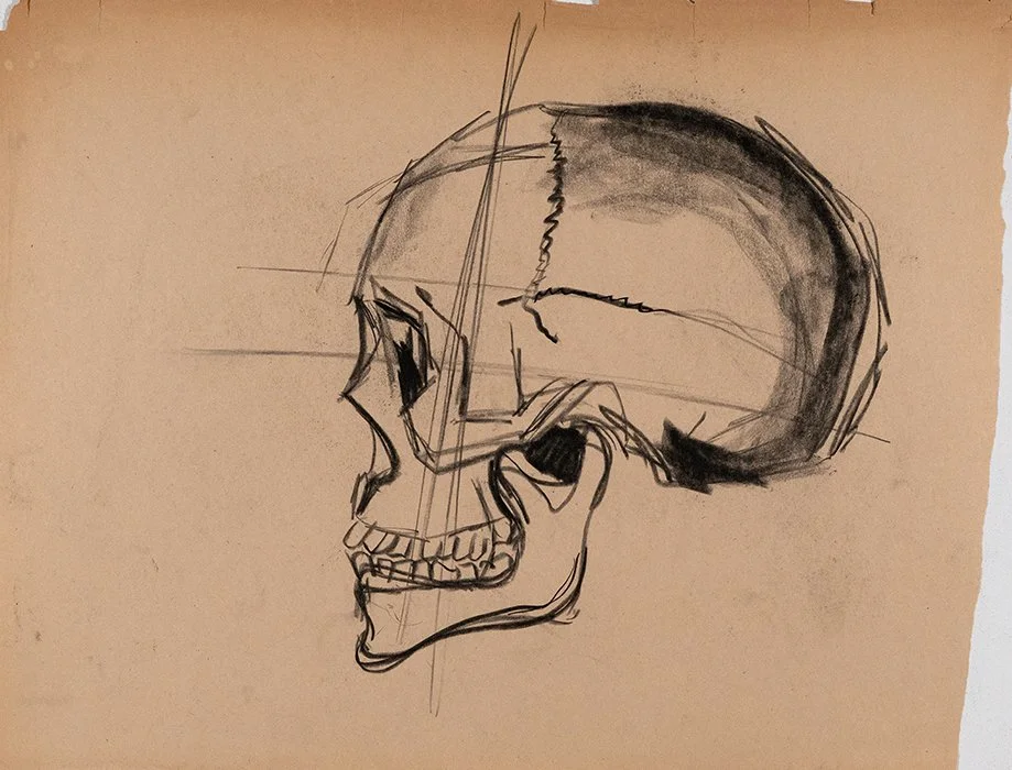 Skull
