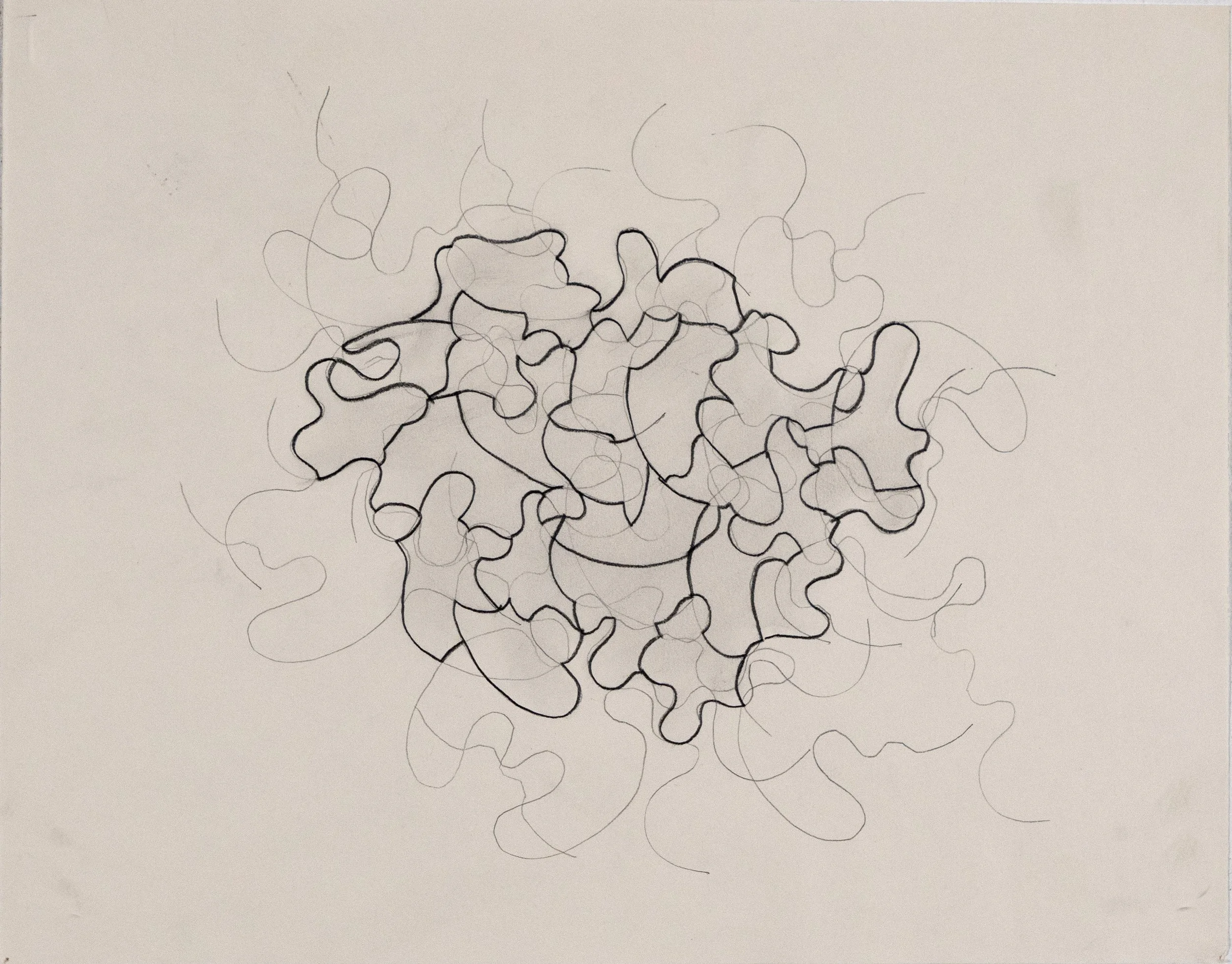 Matte_Drawing_pencil_on_paper_11"x14"_4000_DSC09283