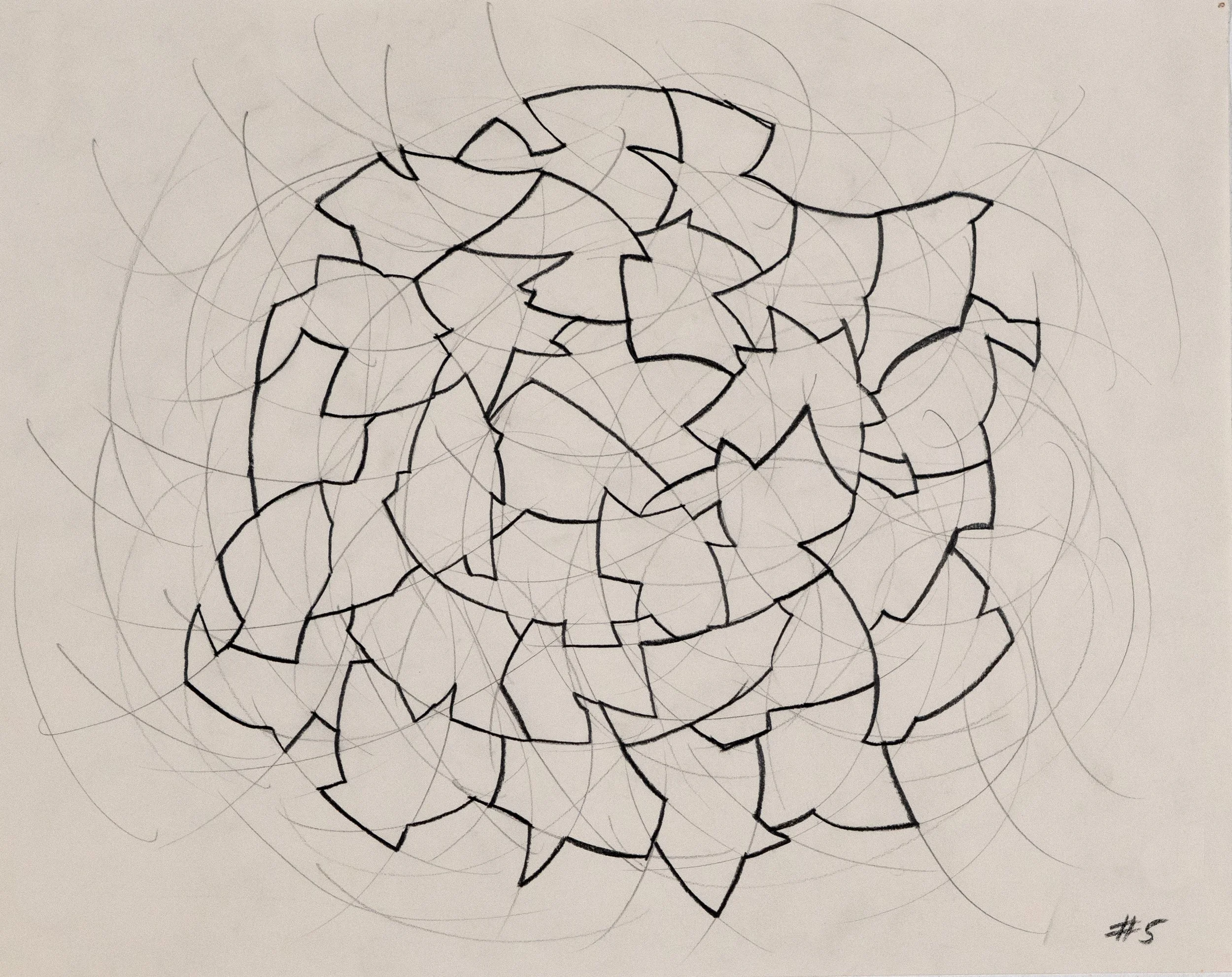 Matte_Drawing_#5_pencil_on_paper_11"x14"_4000_DSC09284