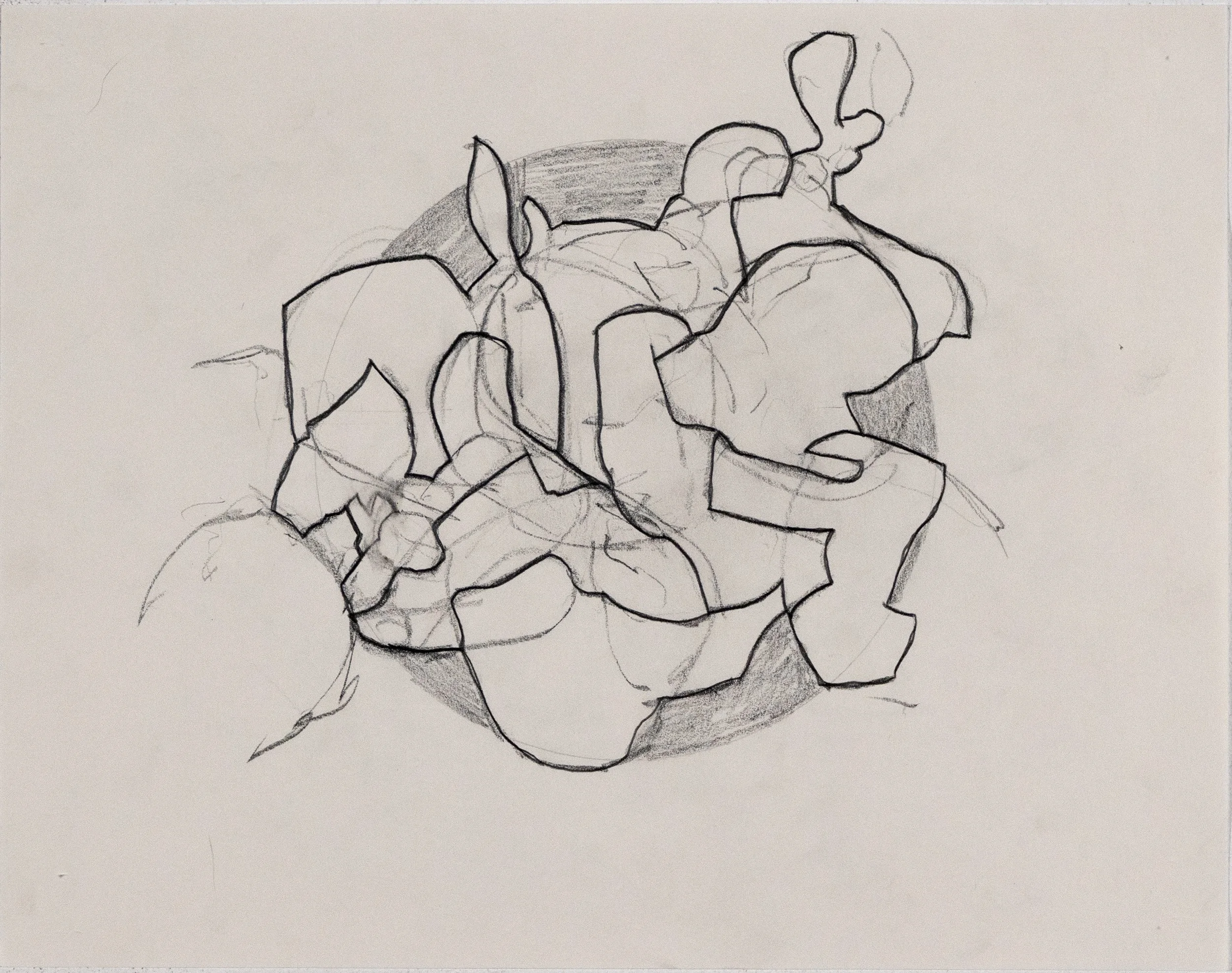 Matte_Drawing_pencil_on_paper_11"x14"_4000_DSC09291