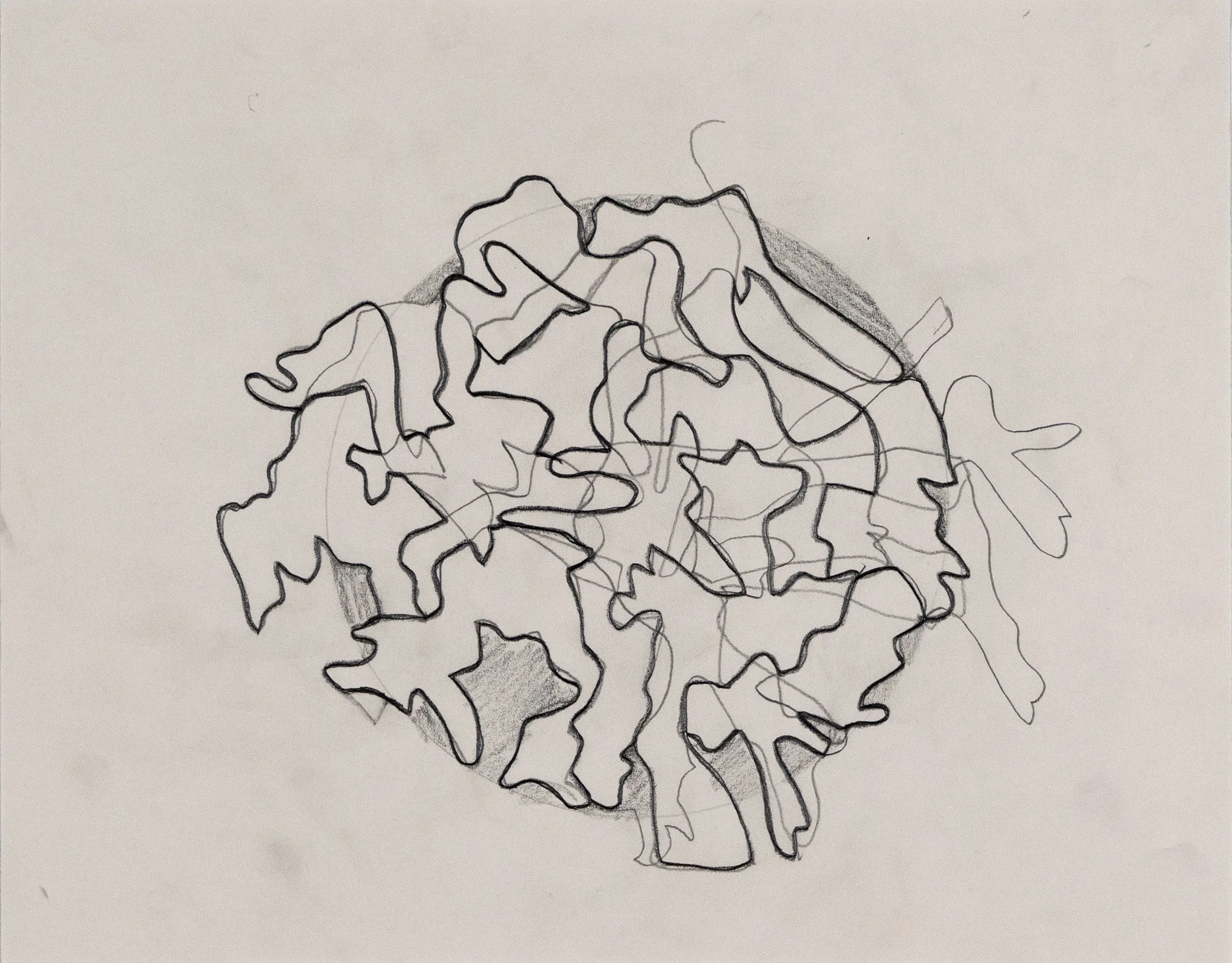 Matte_Drawing_pencil_on_paper_11"x14"_4000_DSC09293