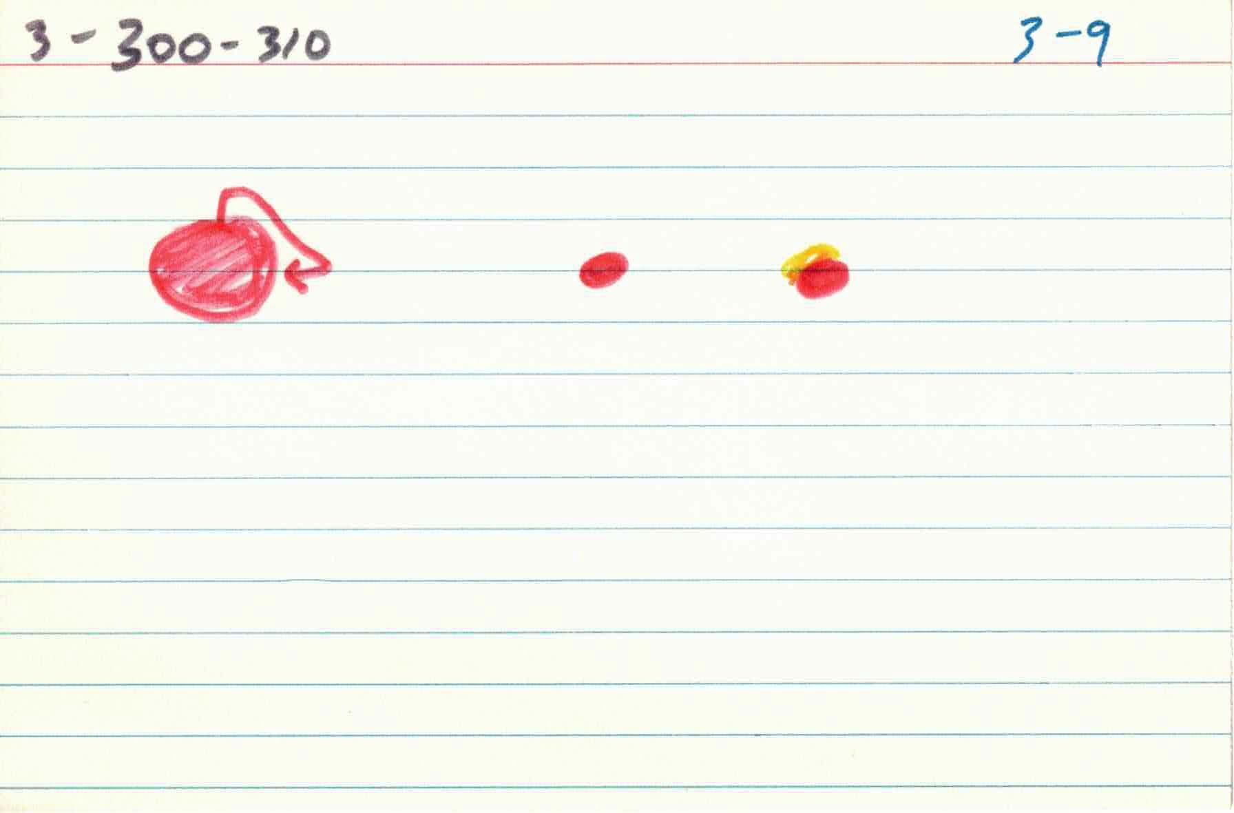 Cirlces_of_Confulsion_file-cards_3 9.jpg