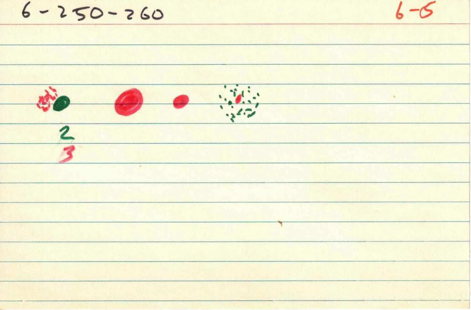 Cirlces_of_Confulsion_file-cards_6 5.jpg