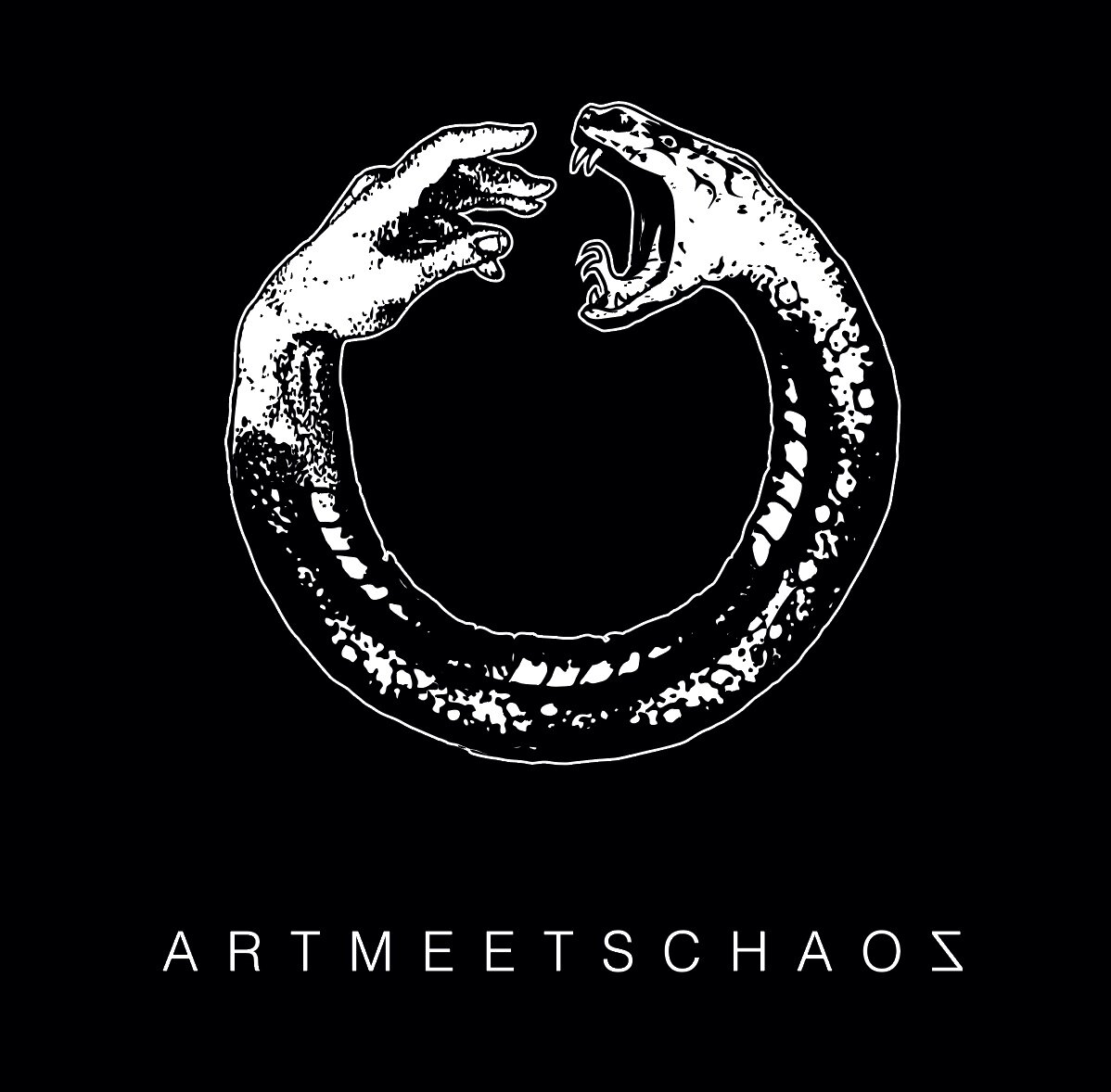 ARTMEETSCHAOS