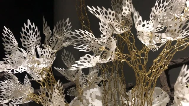 For how long have you been avoiding the earth