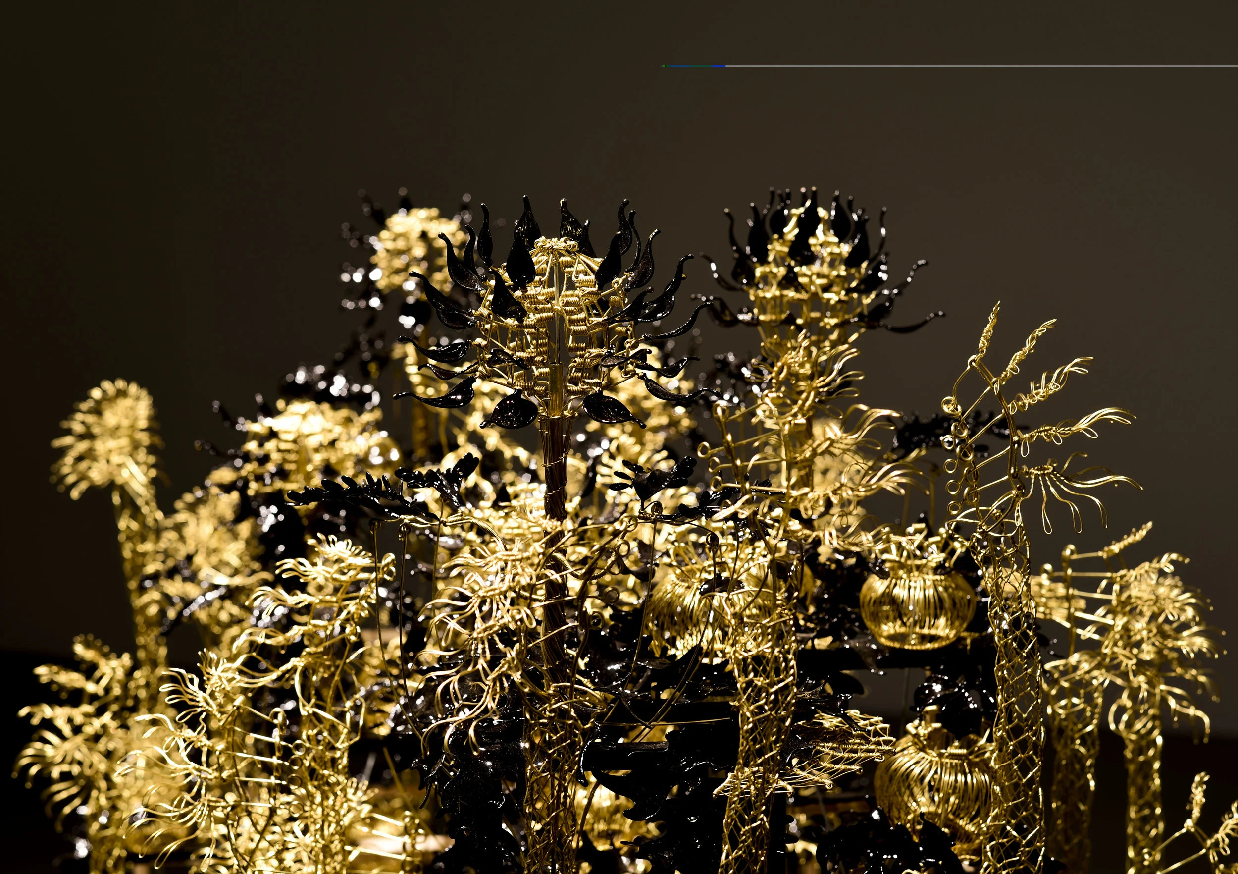  Photo courtesy Fritz Rodriguez 