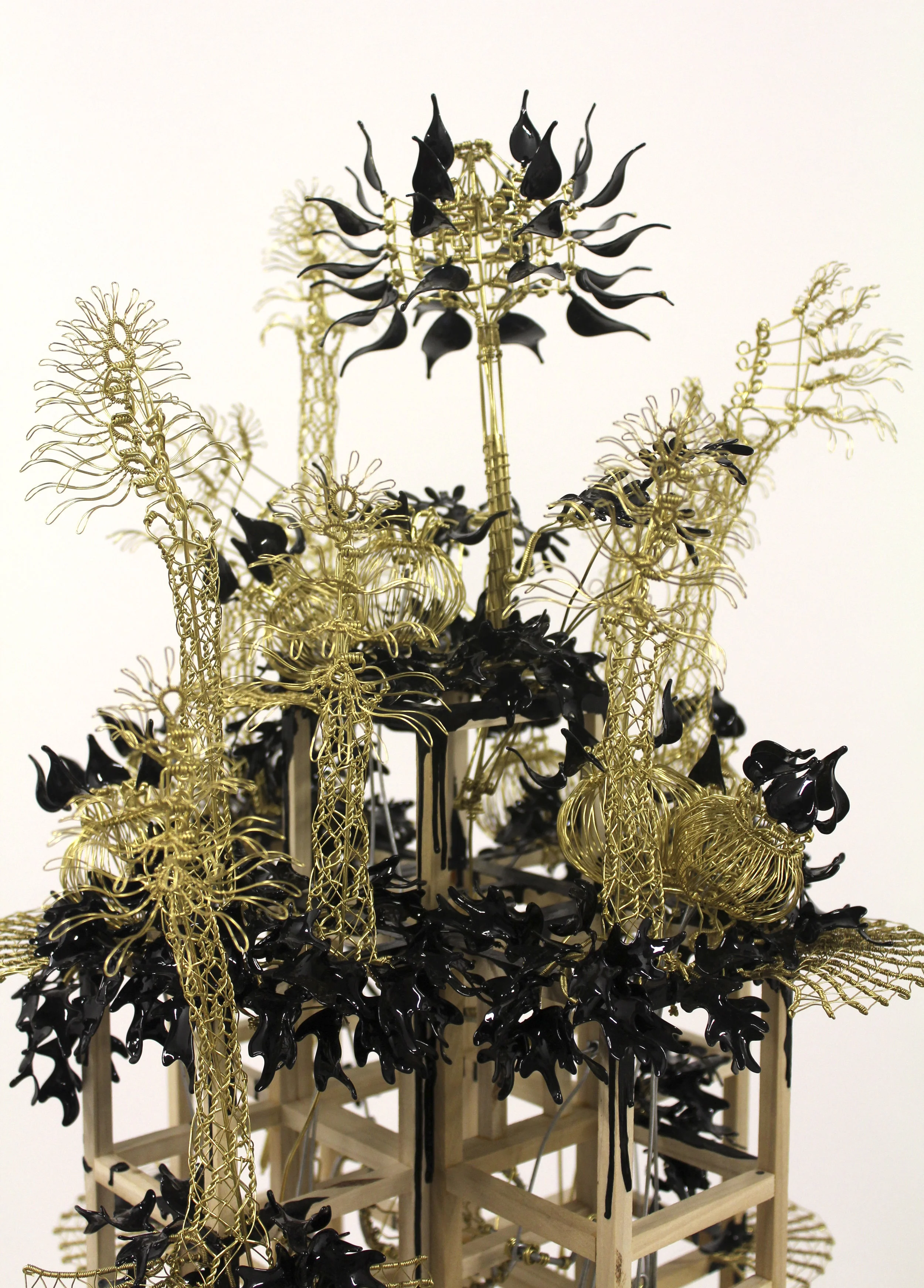 black and gold 3.jpg