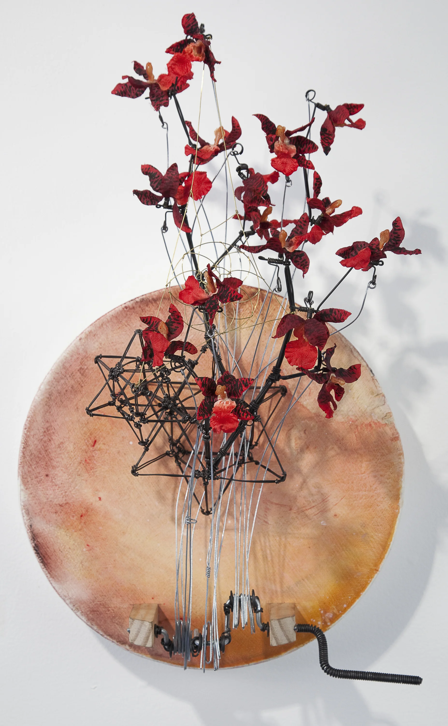 Transparent Structures Lg.jpg