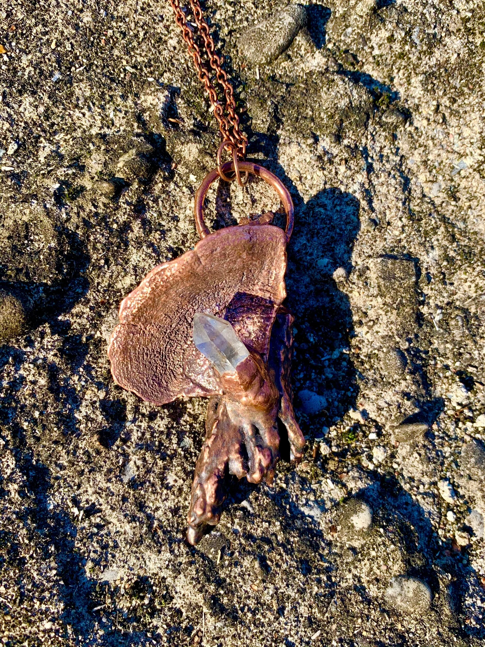 A73E5F72-7190-425E-B5FE-C52A59046C62