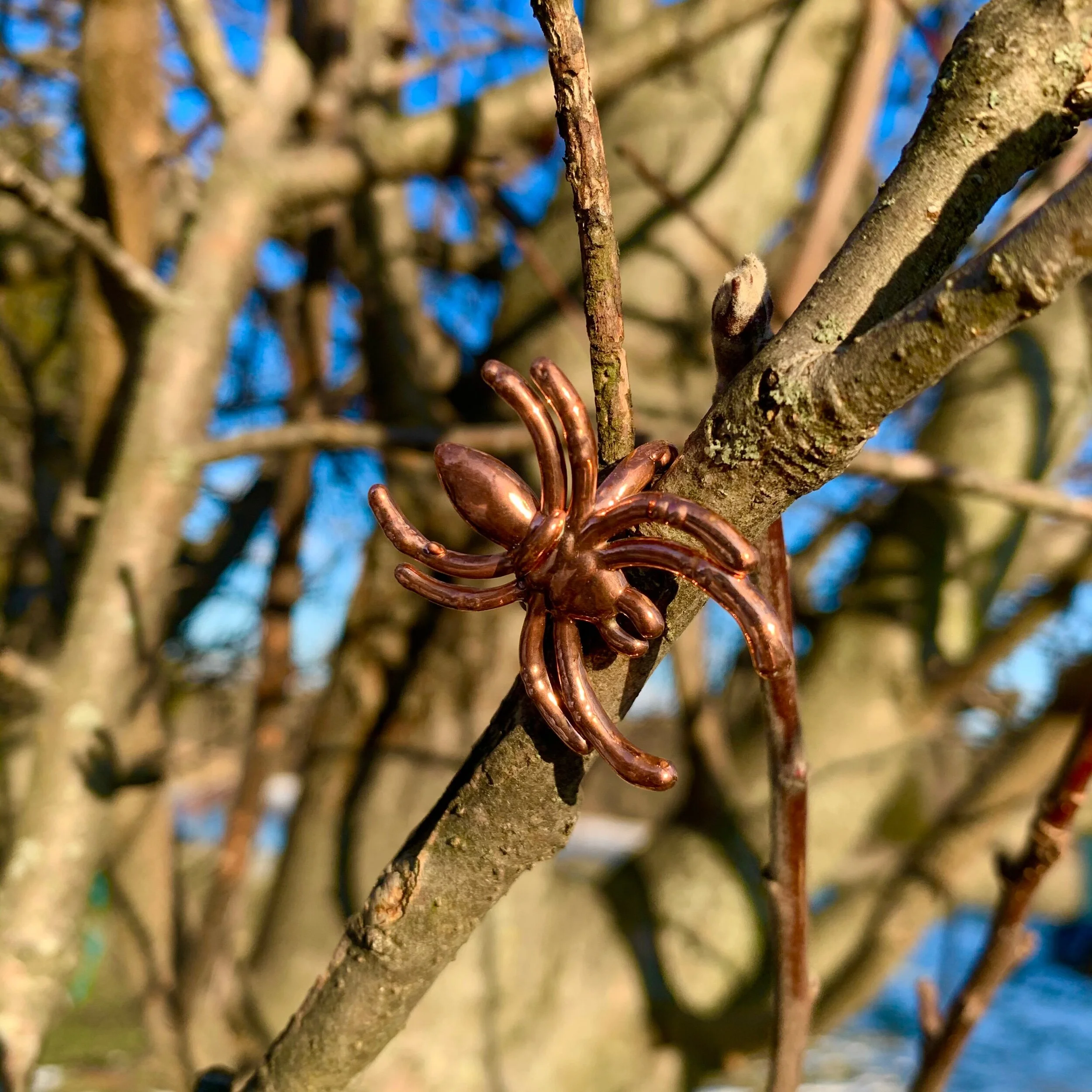 7A515690-25AB-4291-9C4C-8EDCC4AF519B