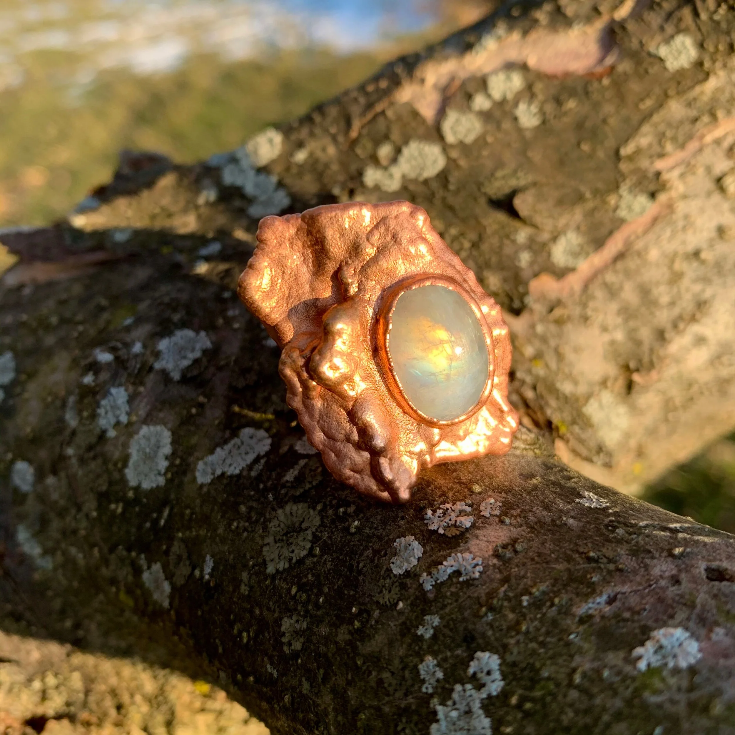 5B939B6D-2BF6-4FF4-8F0F-1B3AE49FE493