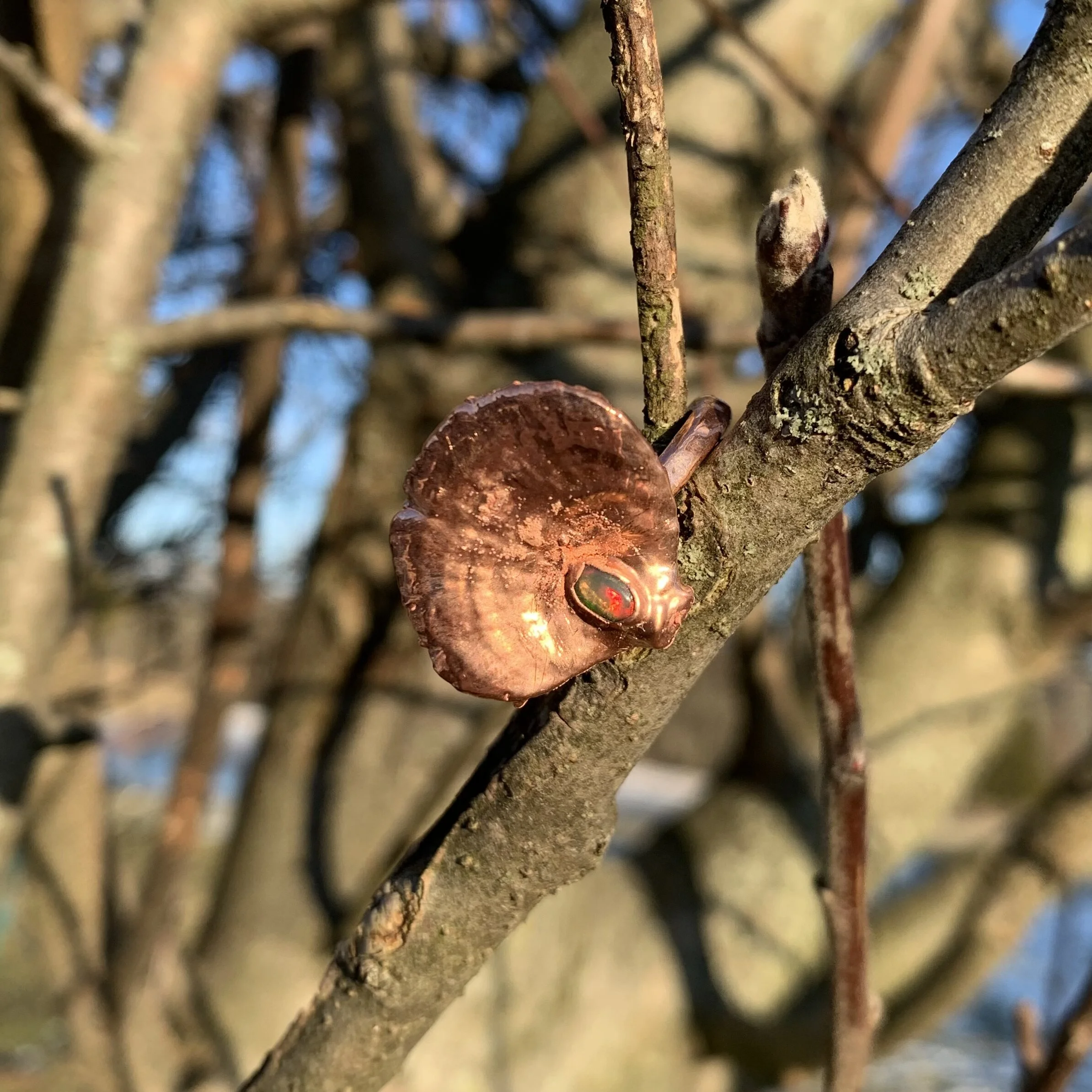 C9B16FE2-9E15-4191-8C5E-4120E1DEE20B