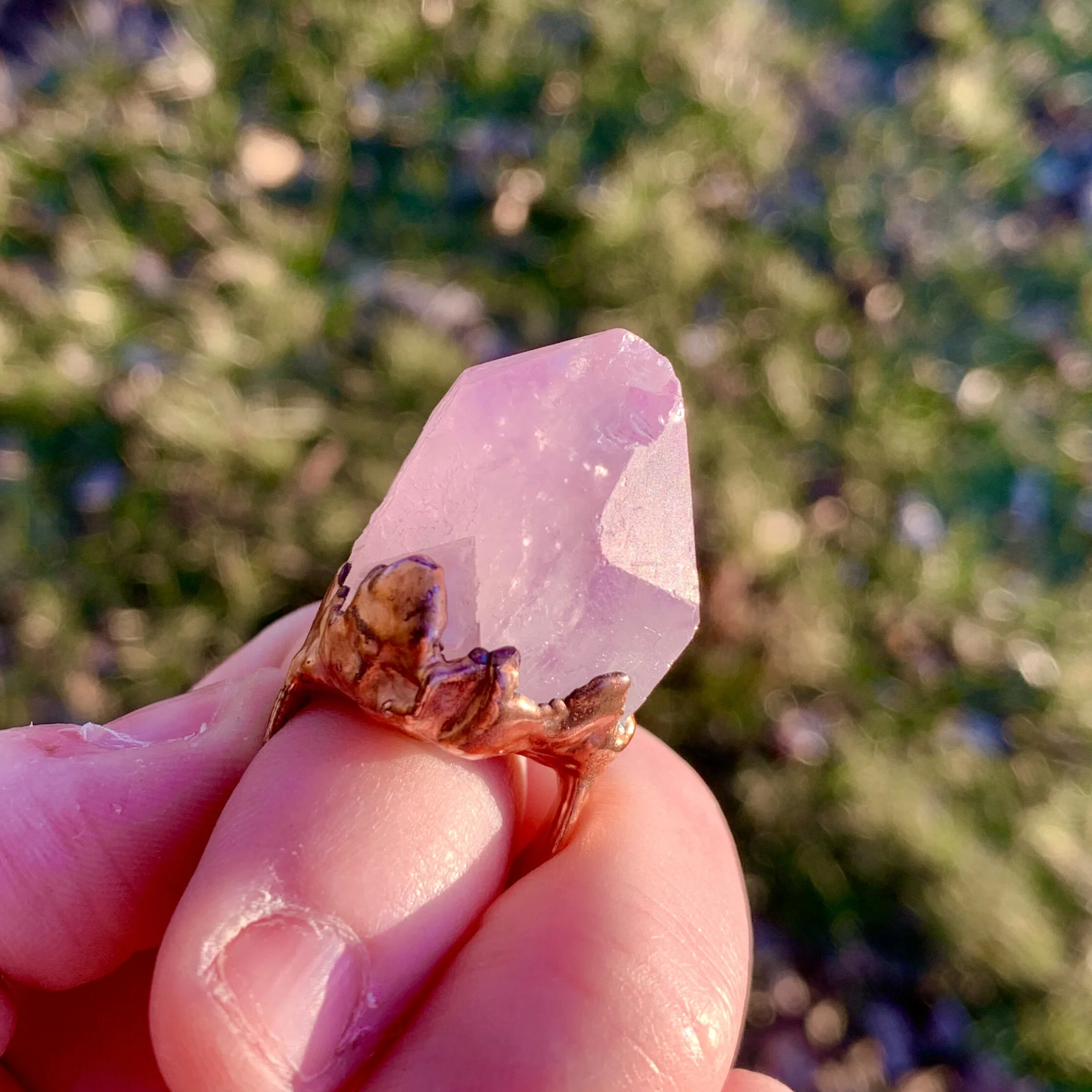 B2164169-5BBE-47EA-B59A-B8D59C7BFACB