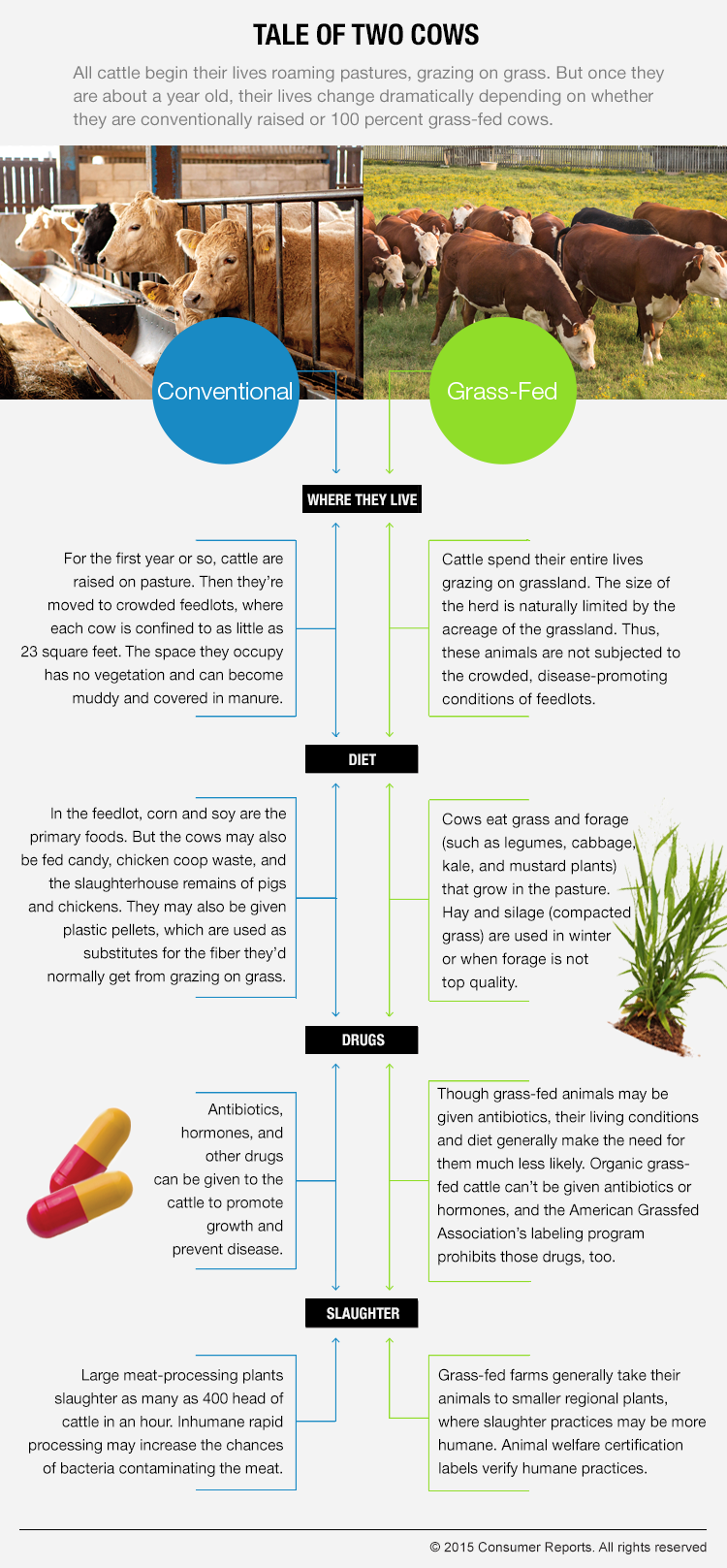 CR_Health-Two-cows-Beef-Chart-8-15.png