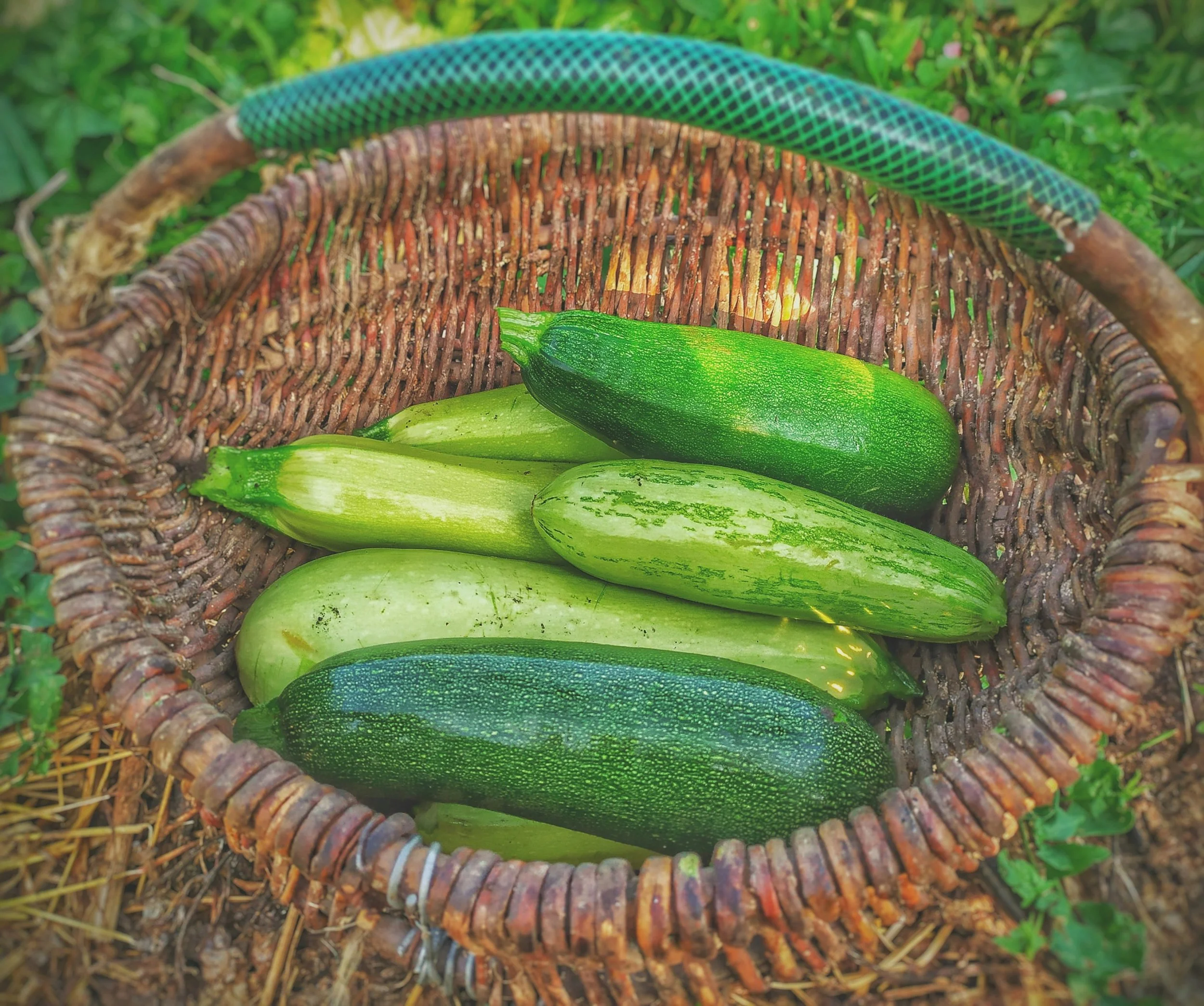 Zucchini Meatloaf &amp; Burgers