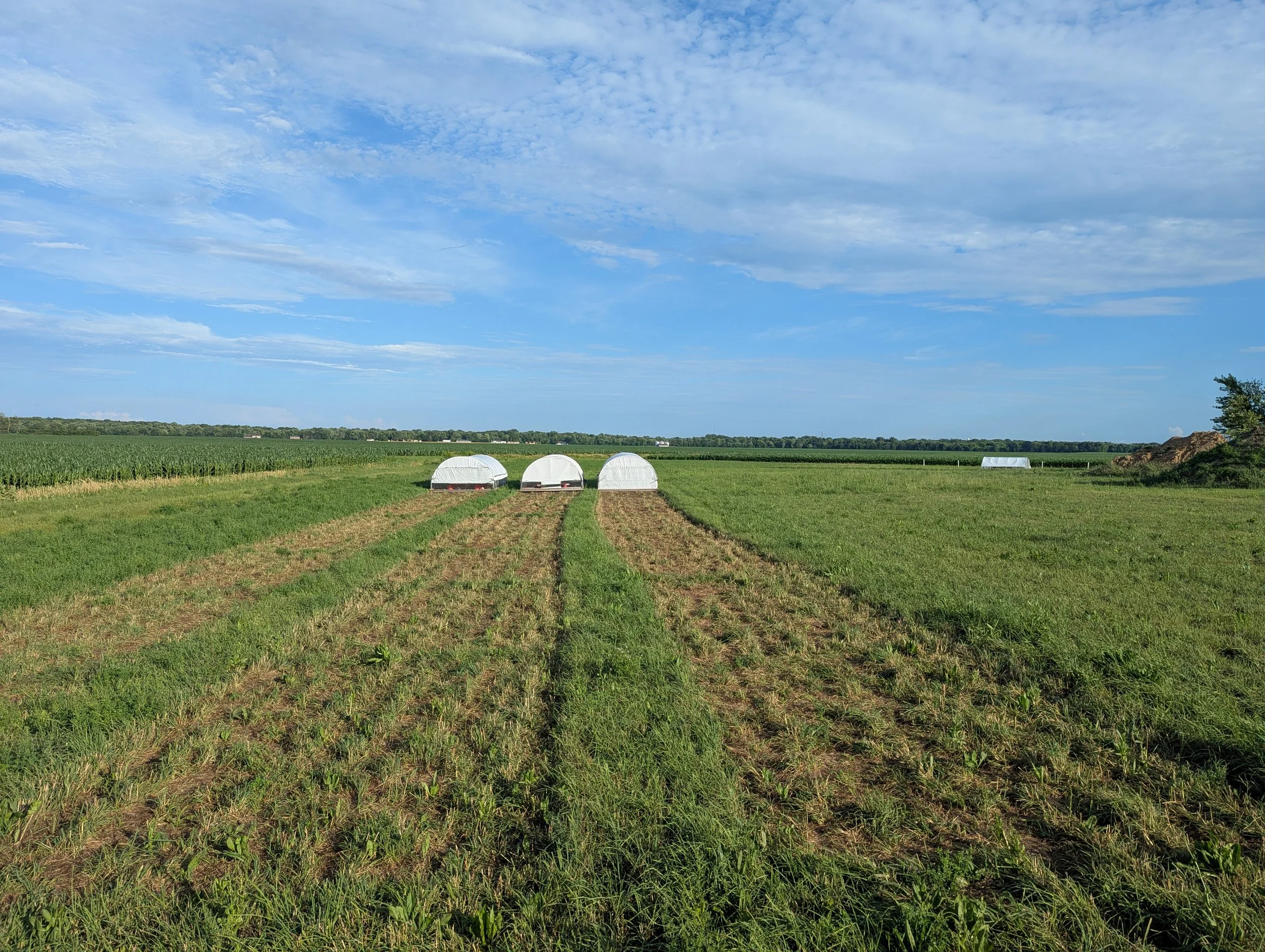 PXL_20250630_232609439 (1).jpg