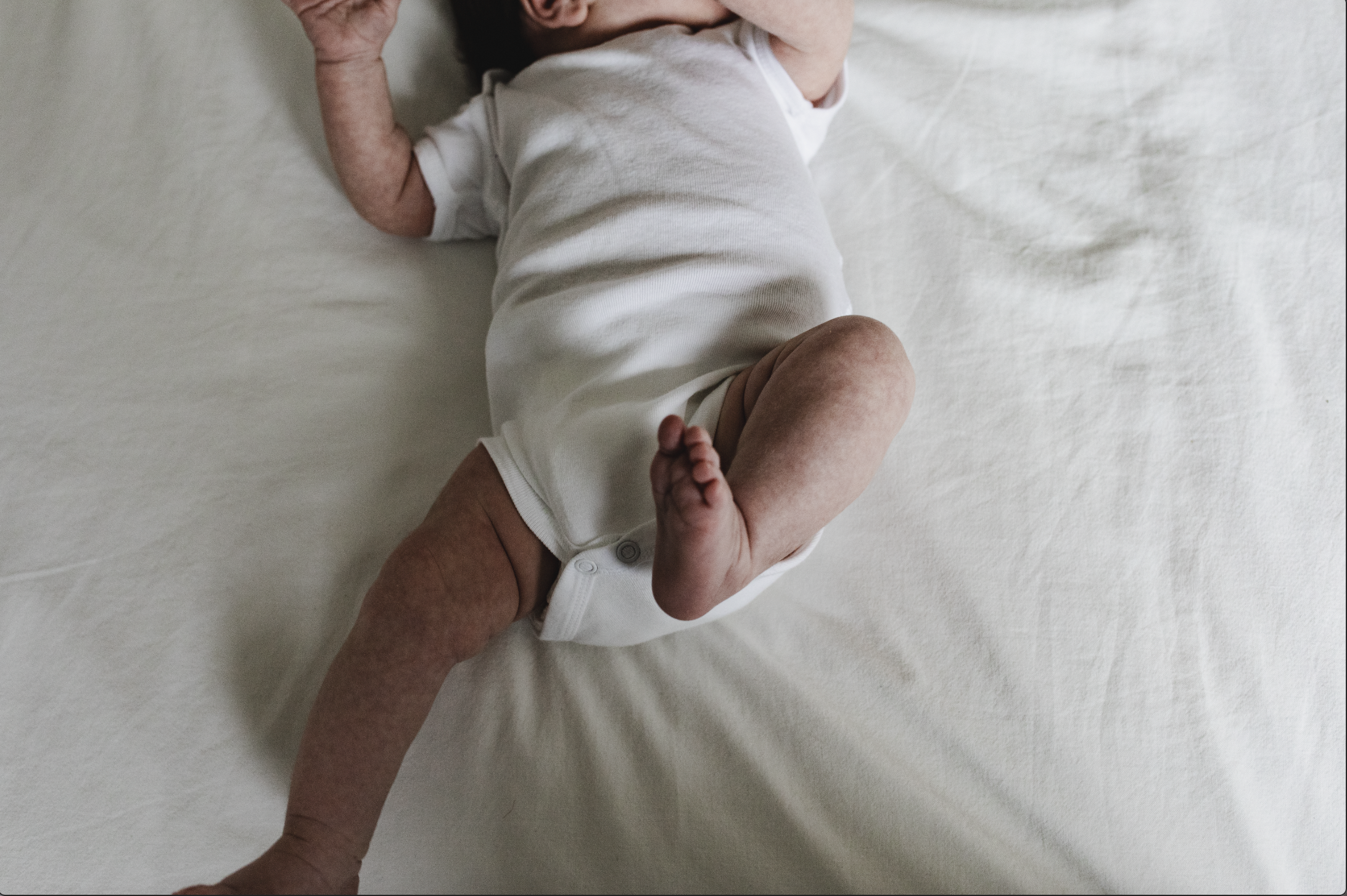 Screen Shot 2026-03-26 at 1.55.26 PM.png