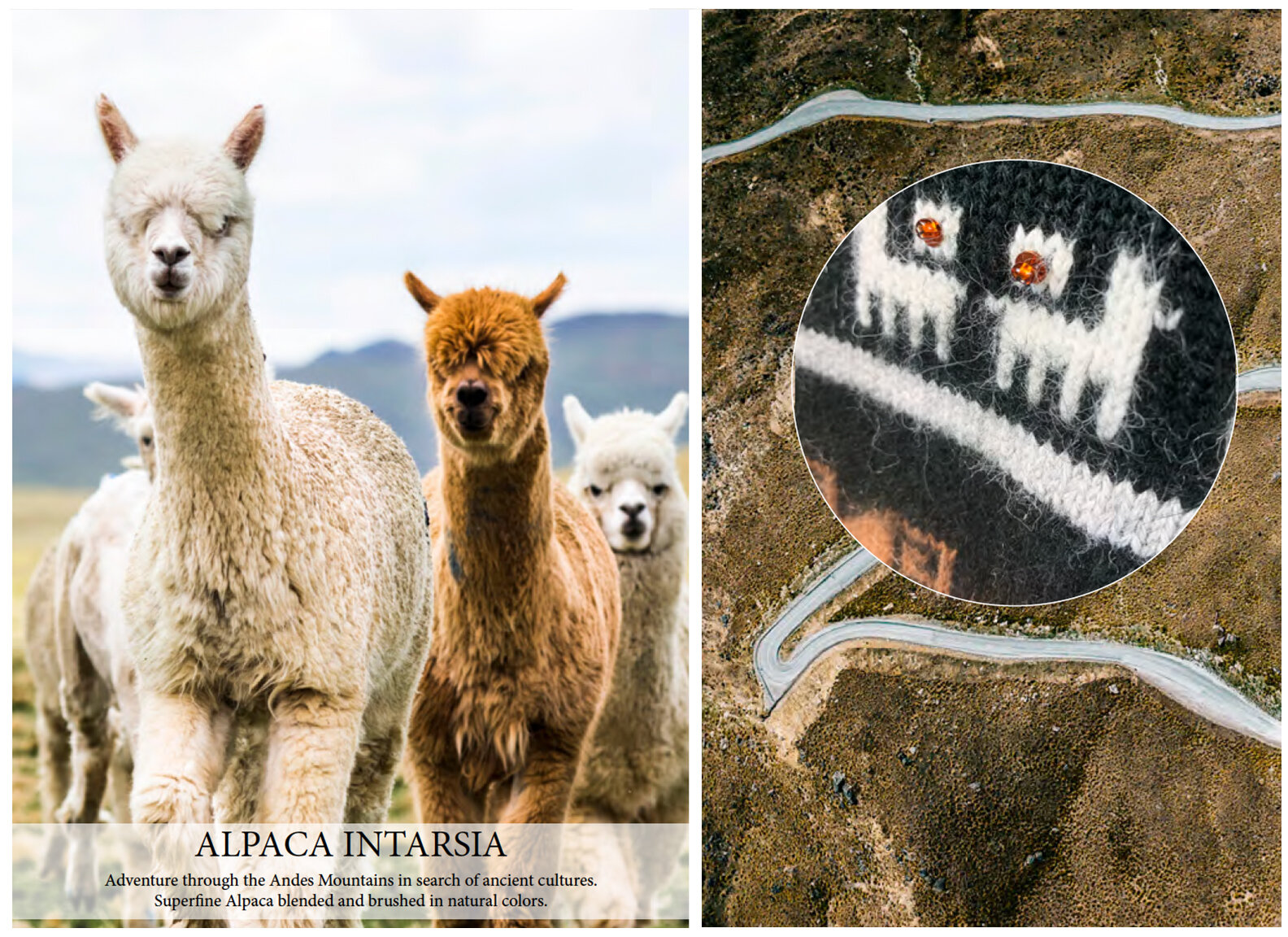 The Cusco Intarsia Sweater